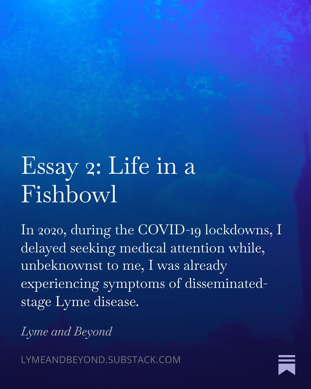 CDMX: Life in a Fishbowl in Substack